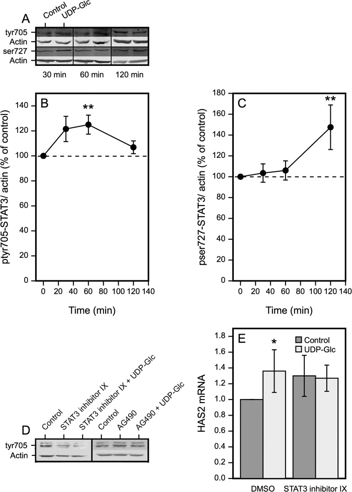 FIGURE 7.