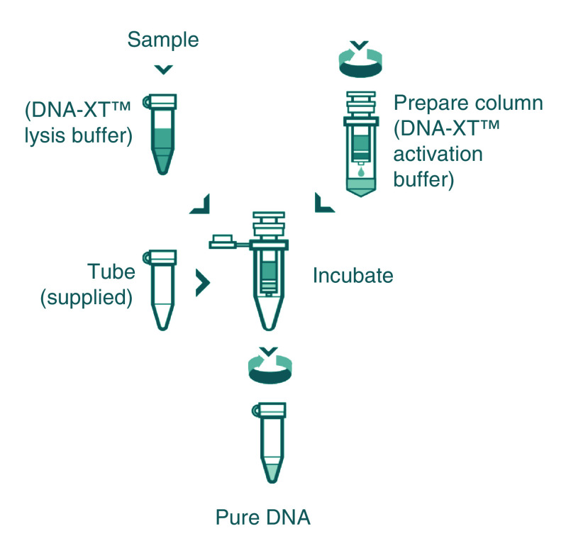 Figure 1. 