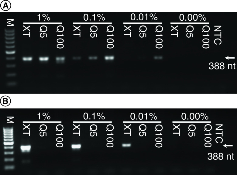 Figure 2. 