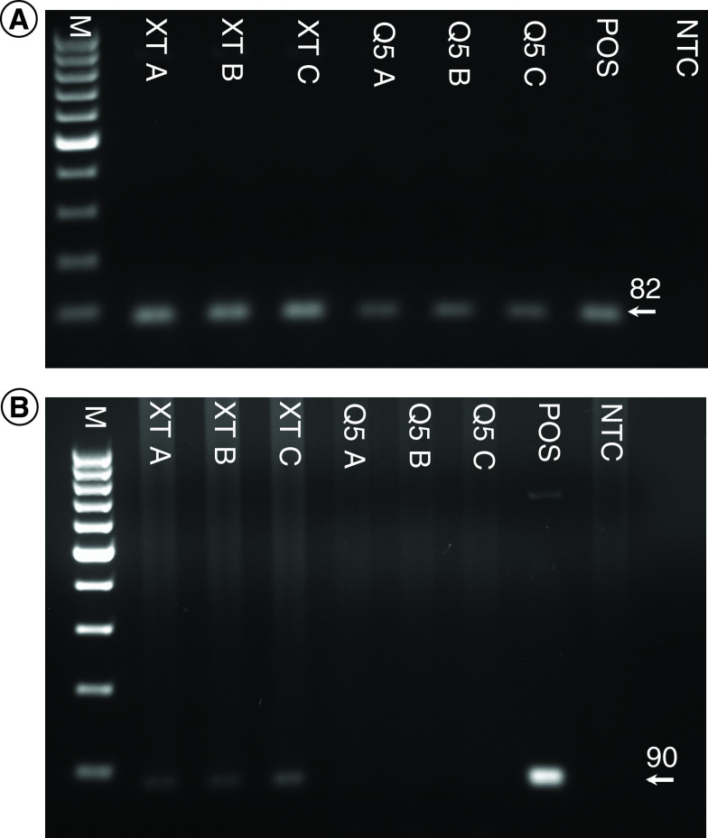 Figure 3. 