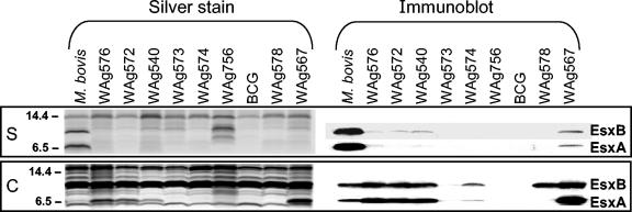 FIG. 4.