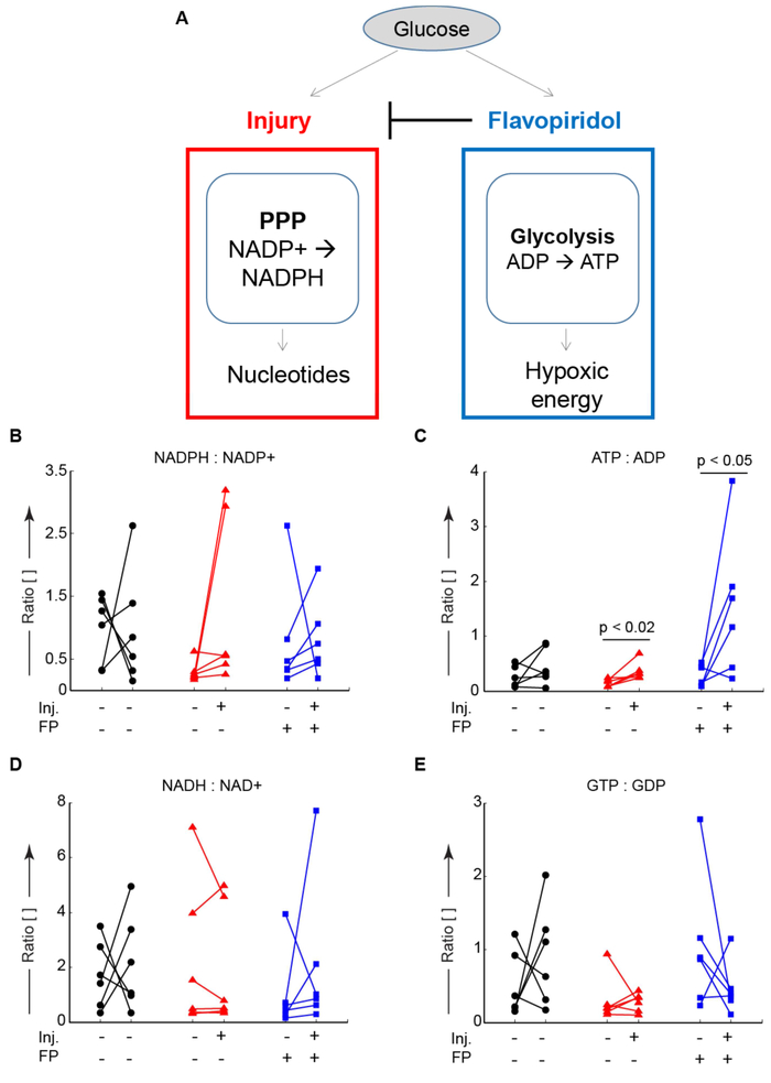 Figure 4: