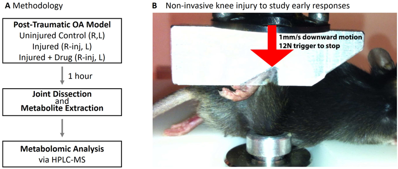 Figure 1: