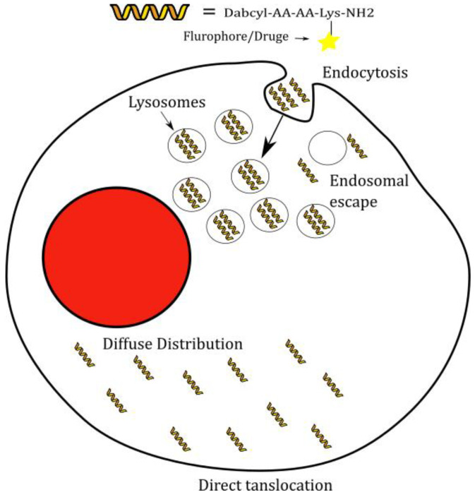 Scheme 2