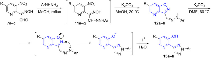 Scheme 5