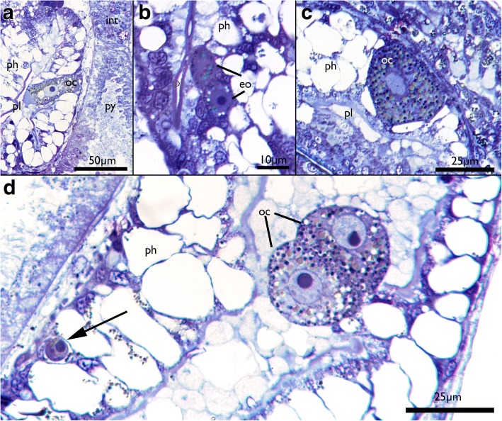 Fig. 10