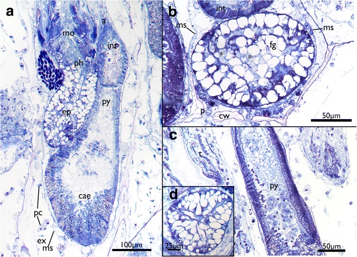 Fig. 9