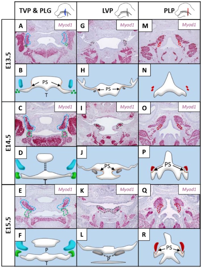 Figure 3.