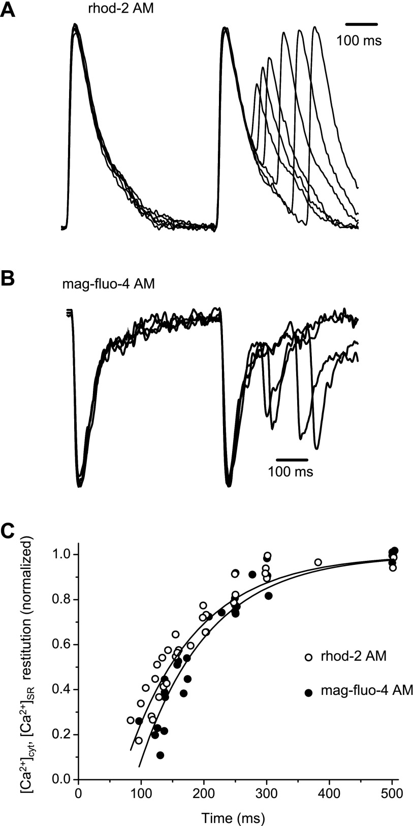 Fig. 8.