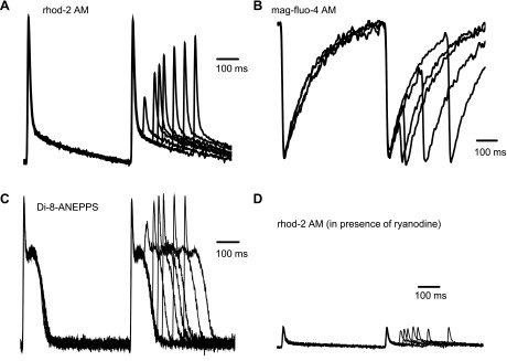 Fig. 9.