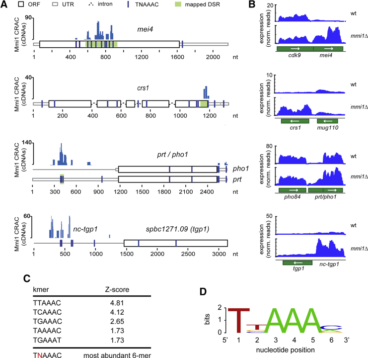 Figure 1