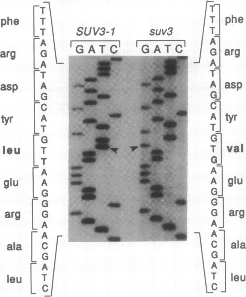 graphic file with name pnas01089-0163-b.jpg