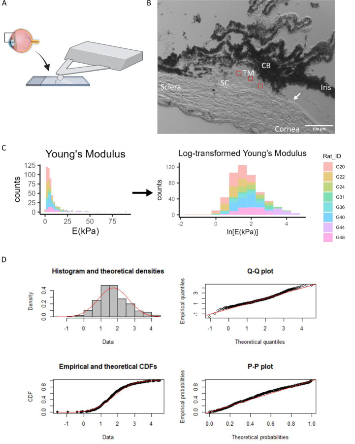 Figure 3: