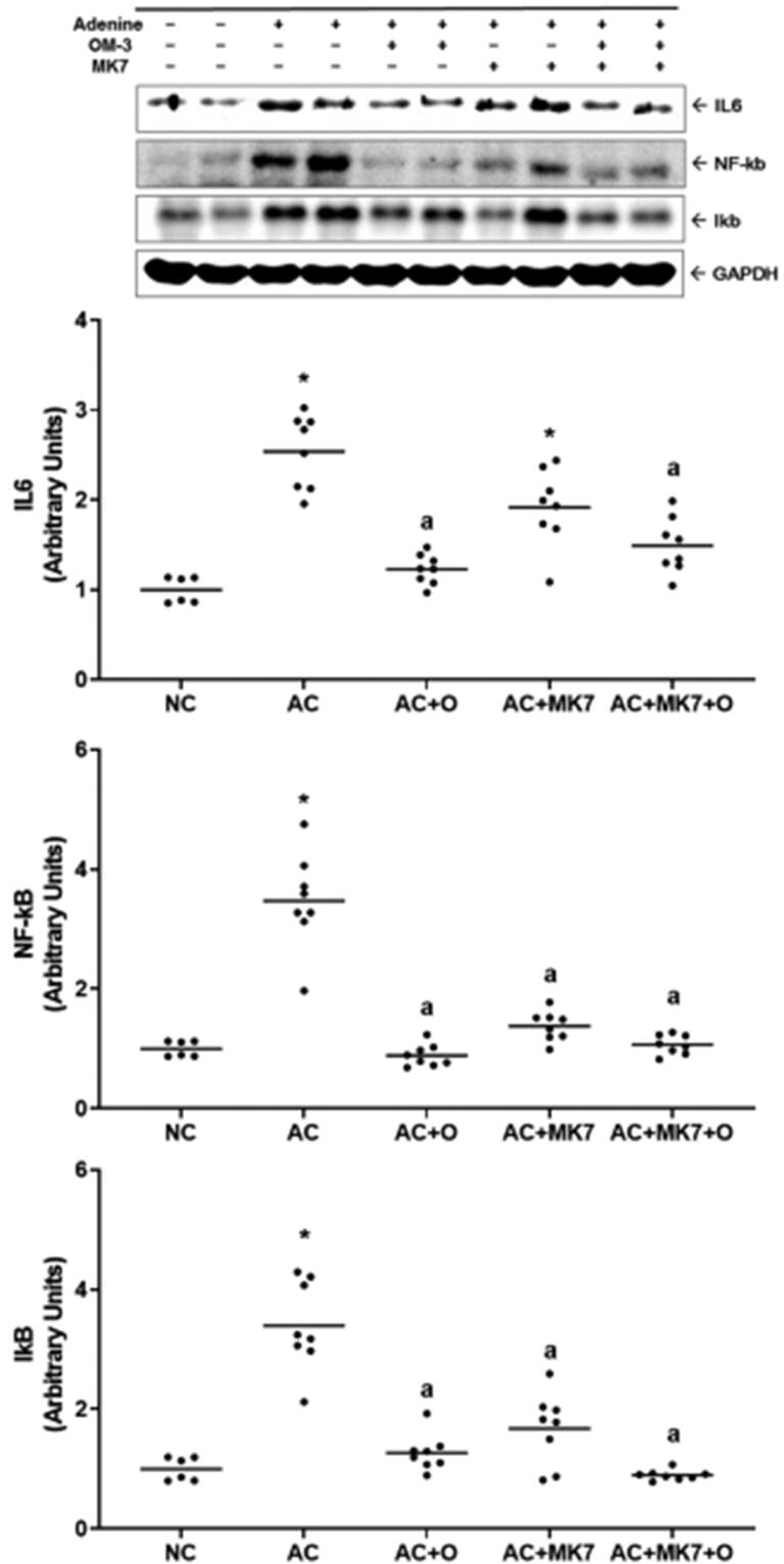 Figure 6.