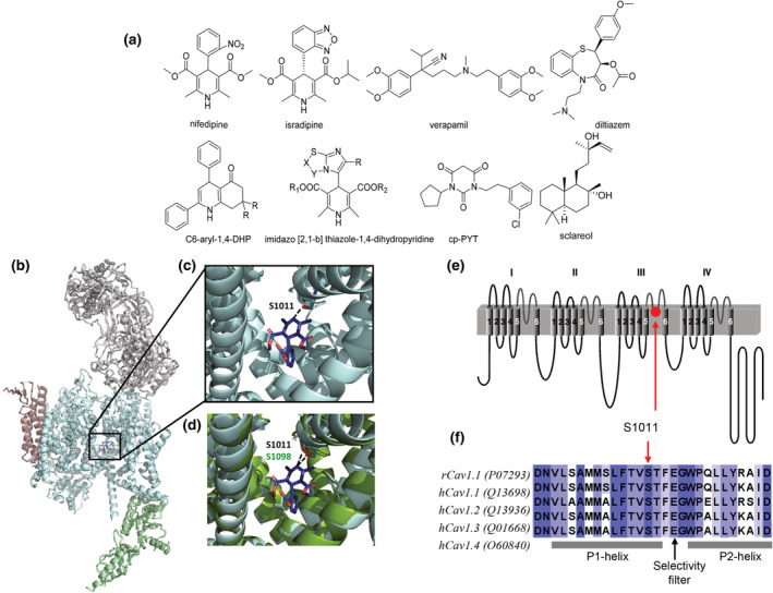 FIGURE 2