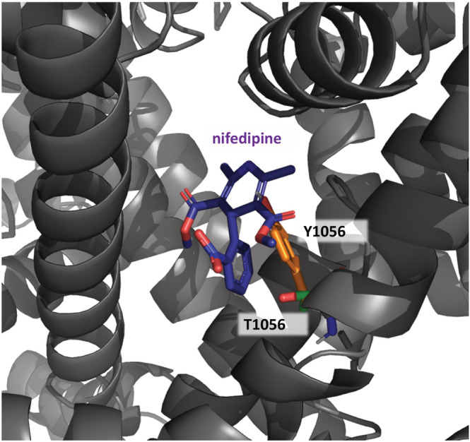 FIGURE 4