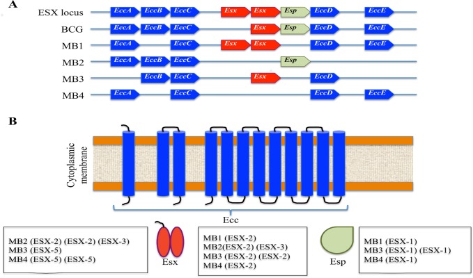 Fig 4