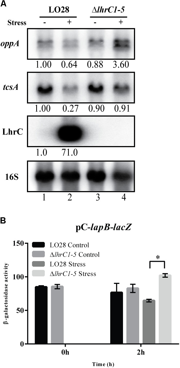 FIGURE 3