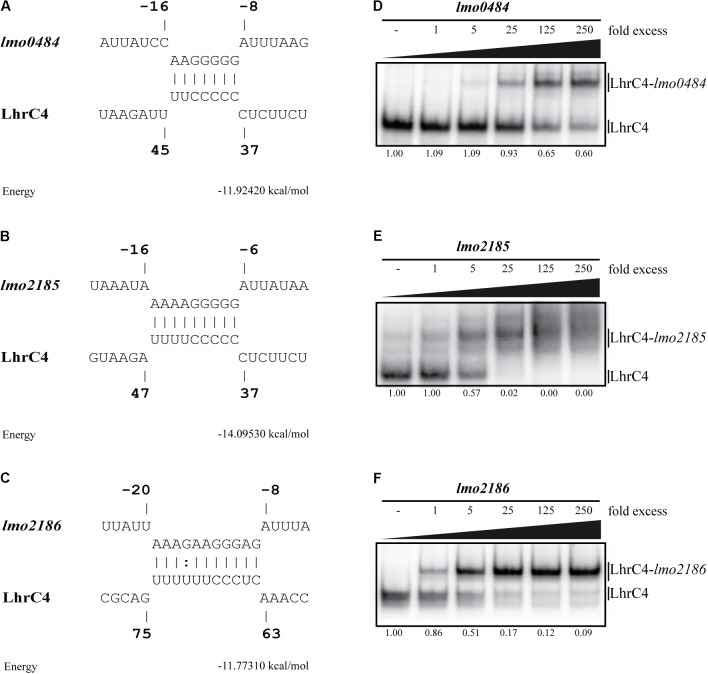 FIGURE 4