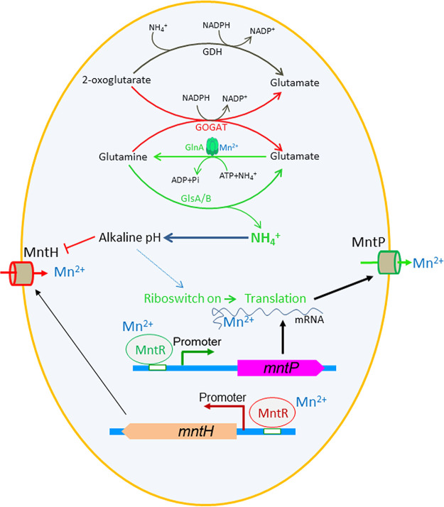 FIG 4