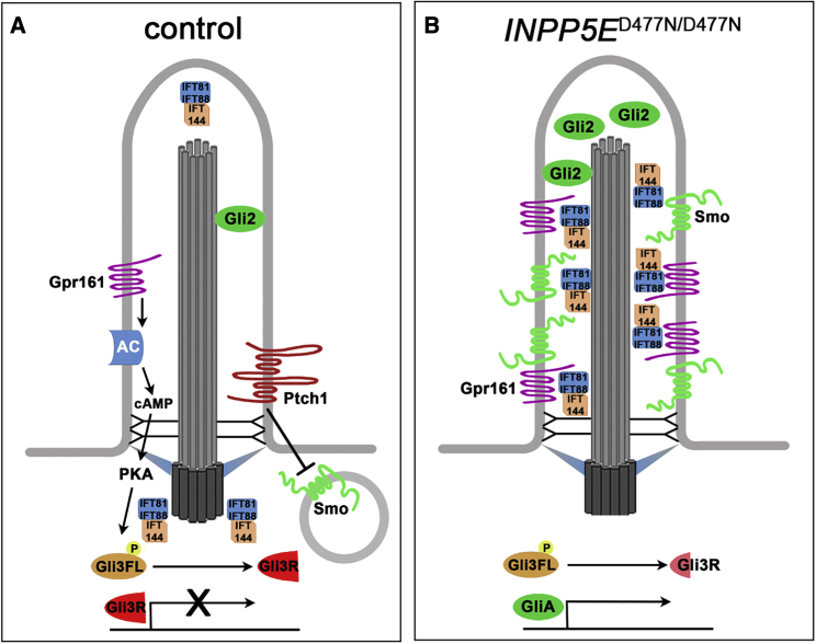 Figure 7