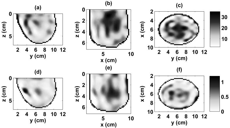 Fig. 10