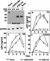 FIG. 7.