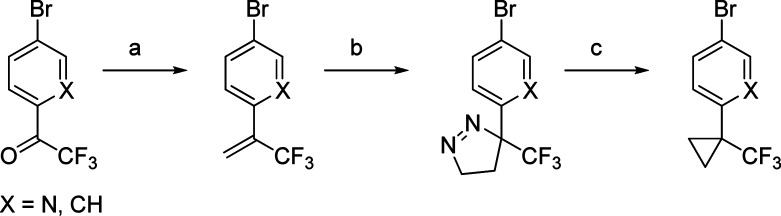 Scheme 2