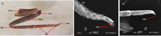Figure 7