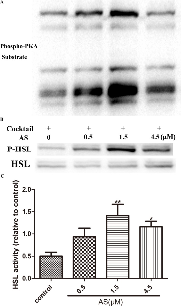 Fig 6