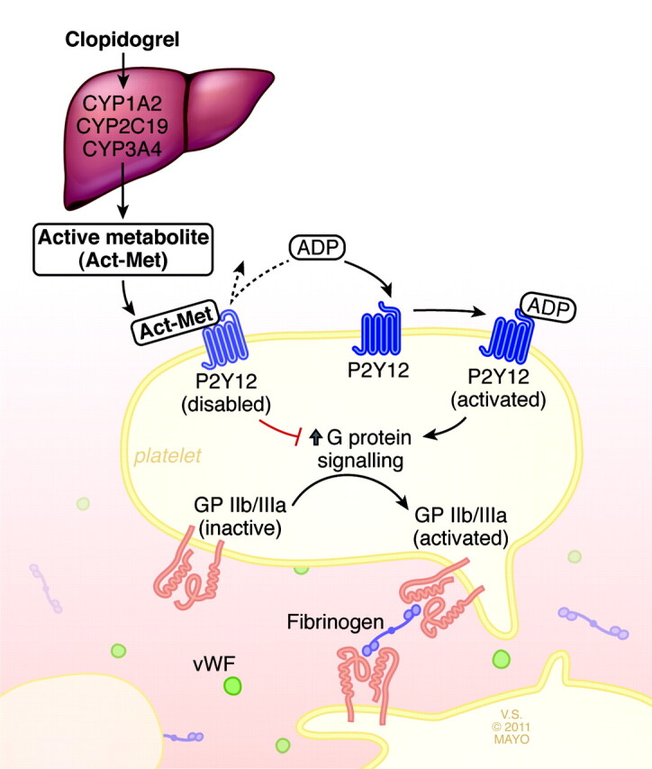 Fig 1.