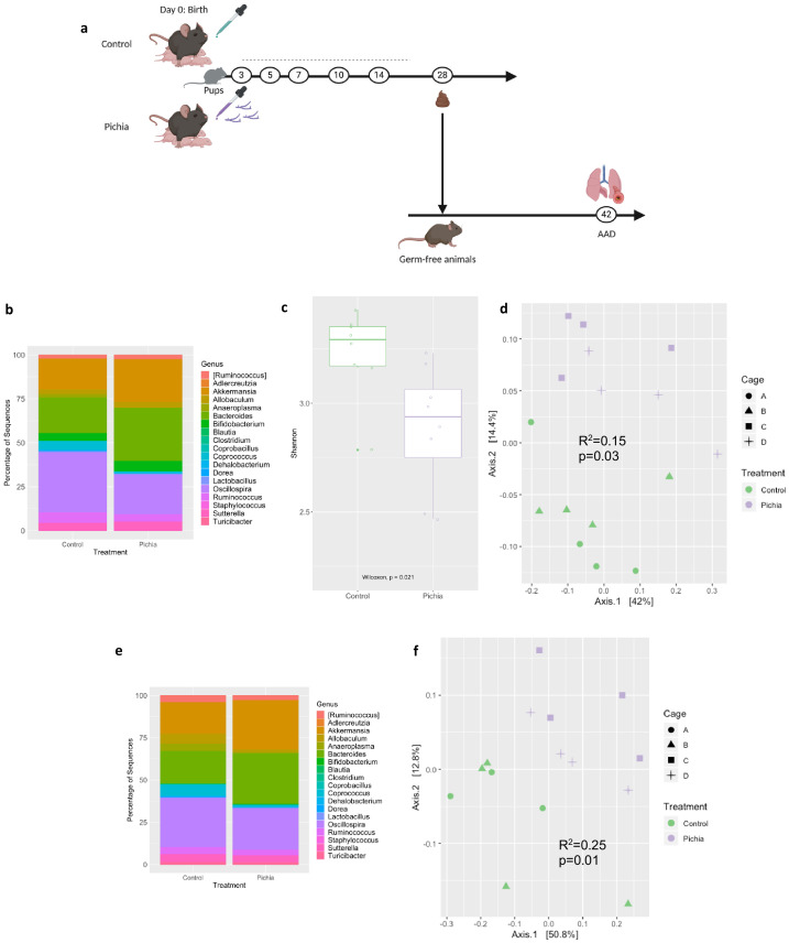 Figure 3—figure supplement 2.