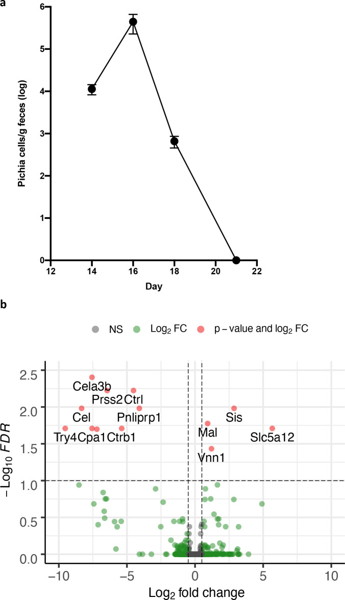 Figure 3—figure supplement 1.