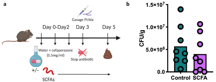 Figure 4—figure supplement 1.