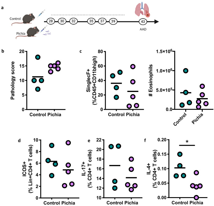 Figure 2—figure supplement 1.