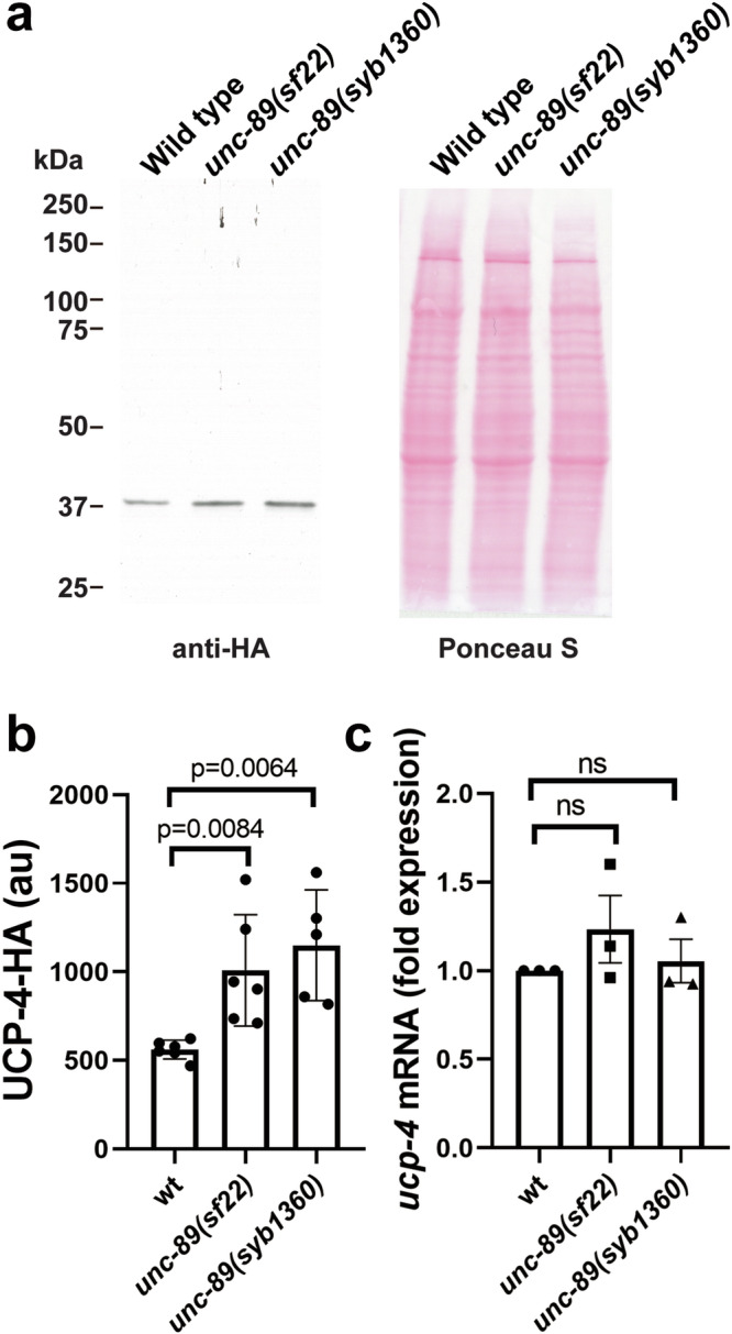 Fig. 10