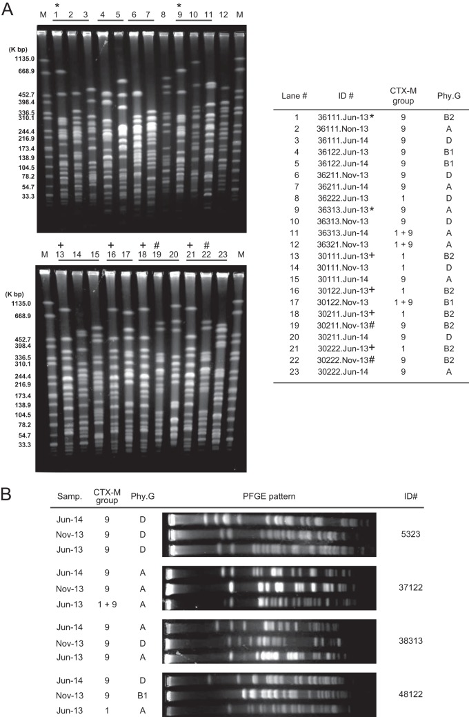 FIG 1