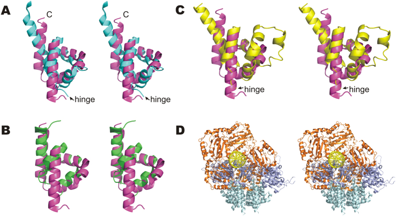 Figure 7