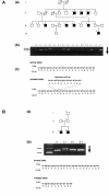 Figure  2