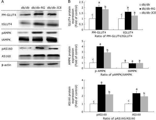 Fig. 4