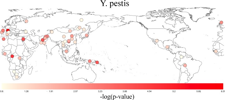 Fig 5