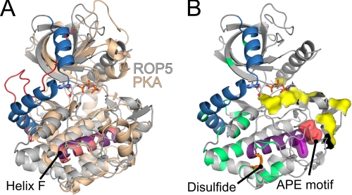 FIGURE 4.