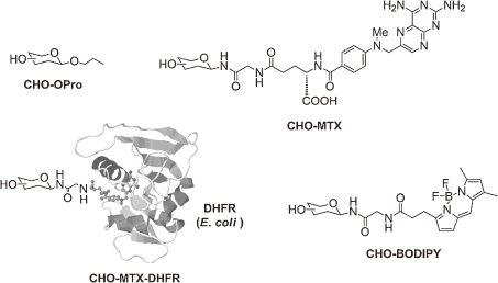 Figure 3. 