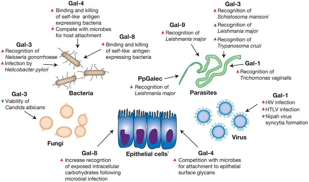 Figure 5: