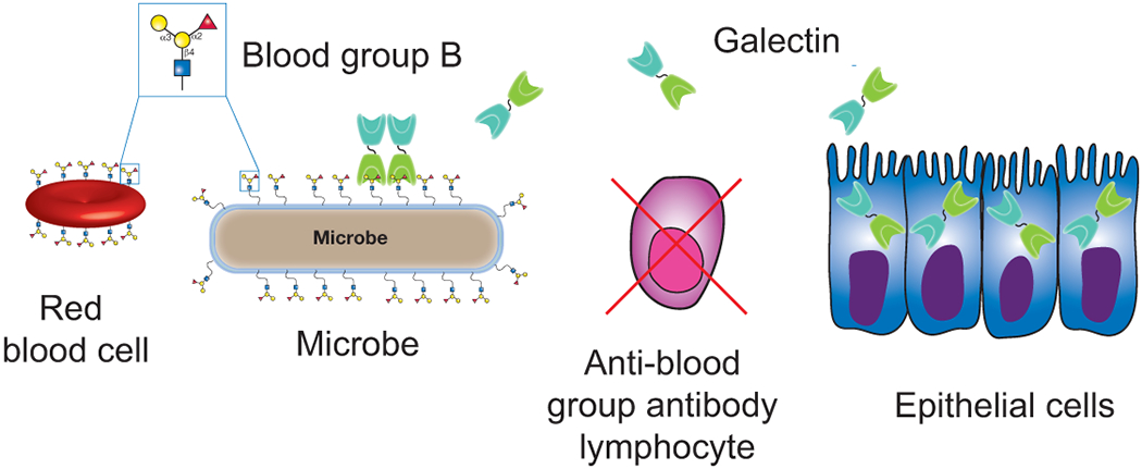 Figure 3: