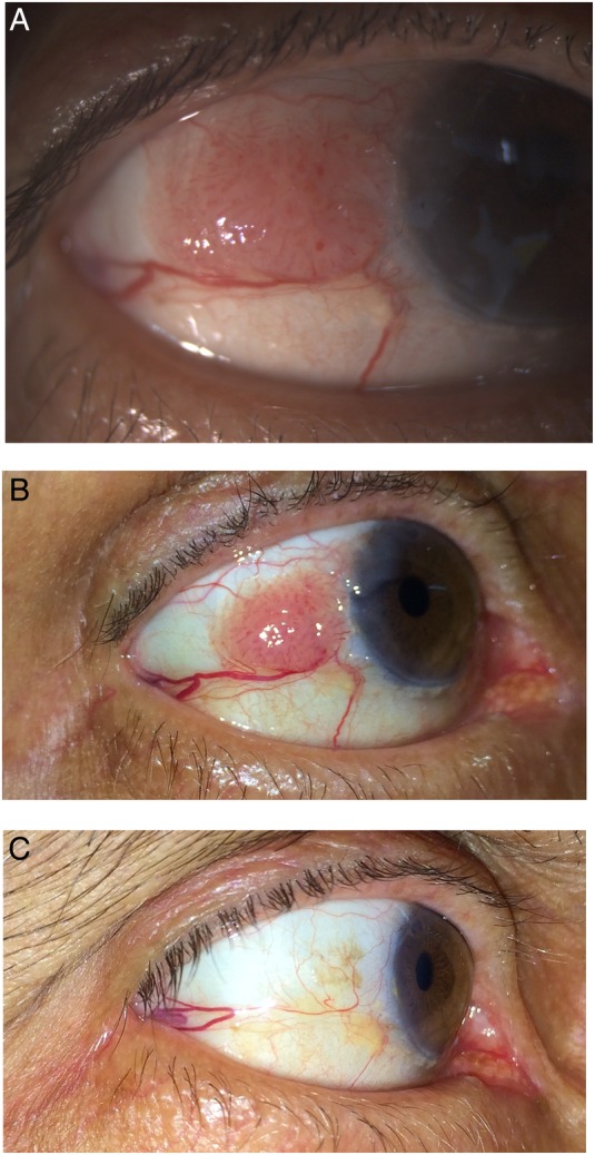 Figure 1