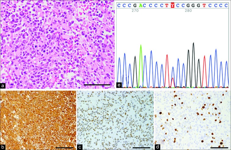 Figure 3: