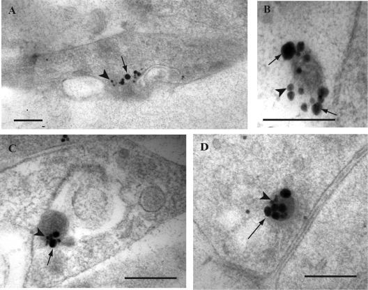 FIG. 7.