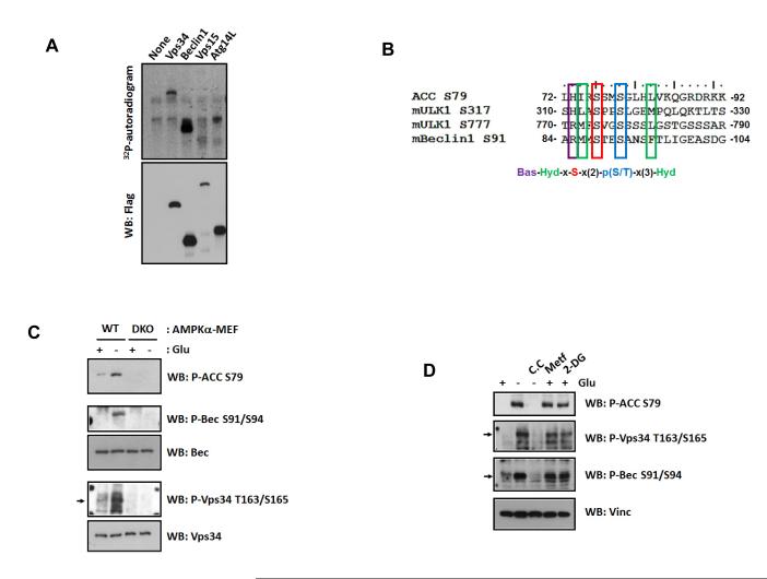 Fig.3