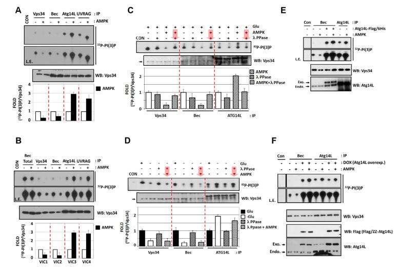 Fig.2